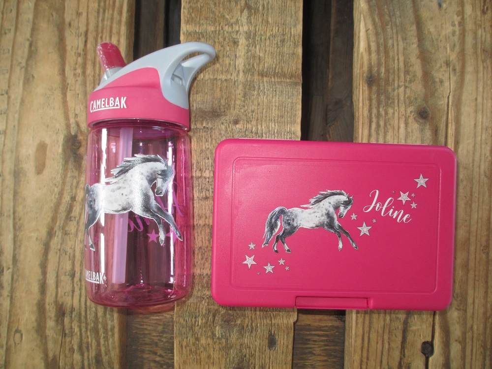 Trinkflasche Camelbak pink