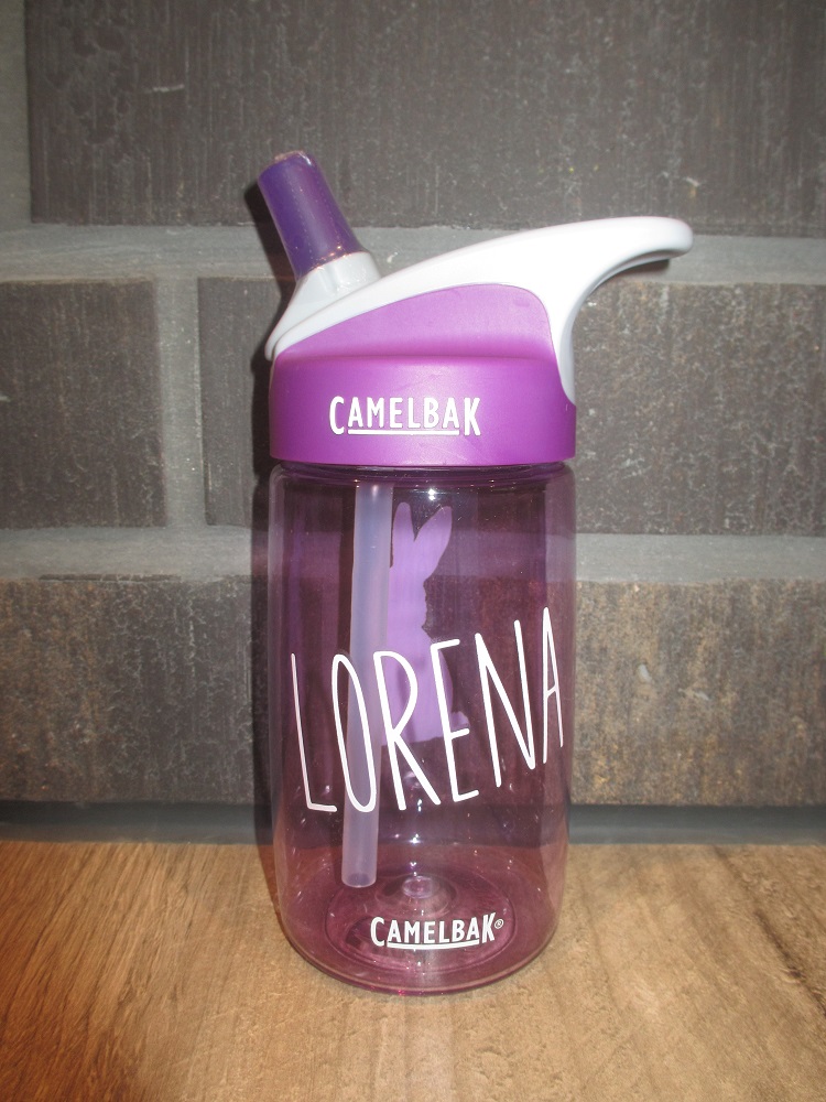 Trinkflasche Camelbak violett